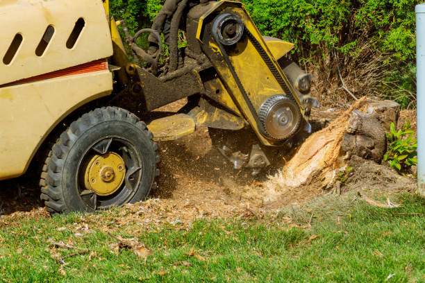 Artificial Turf Installation in Edgewood, OH